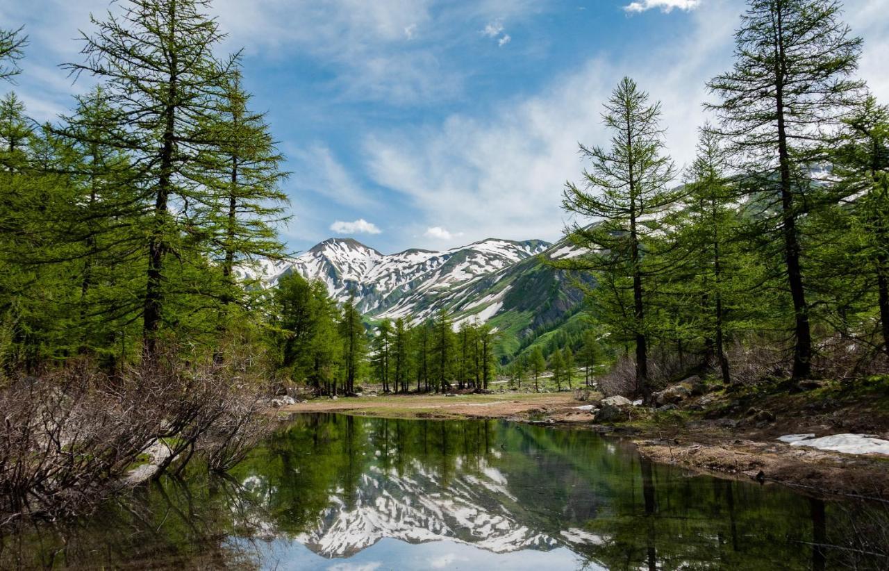 La Maison Des Guides - Trilocale A 500 Mt Dalle Piste Di Dolonne Курмайор Экстерьер фото